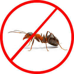 PestCare