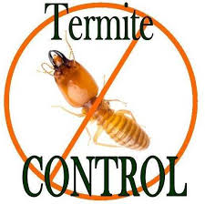 Fumigation Services in Nairobi